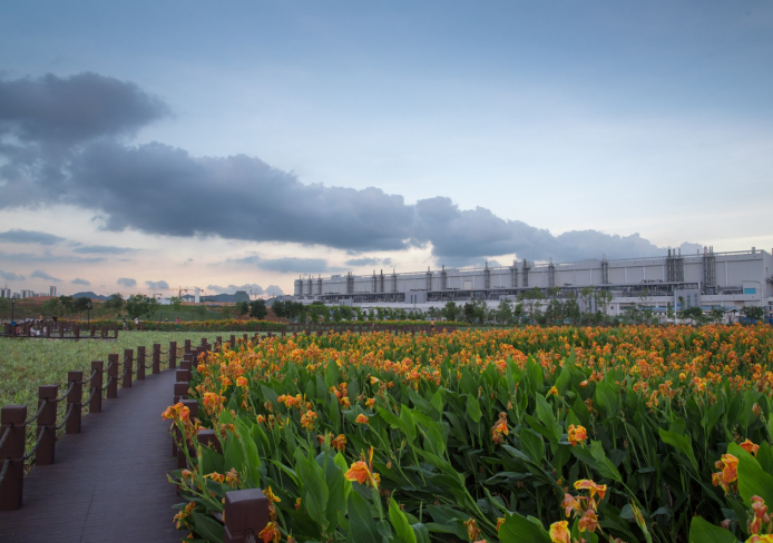 TCL利来w66人工湿地